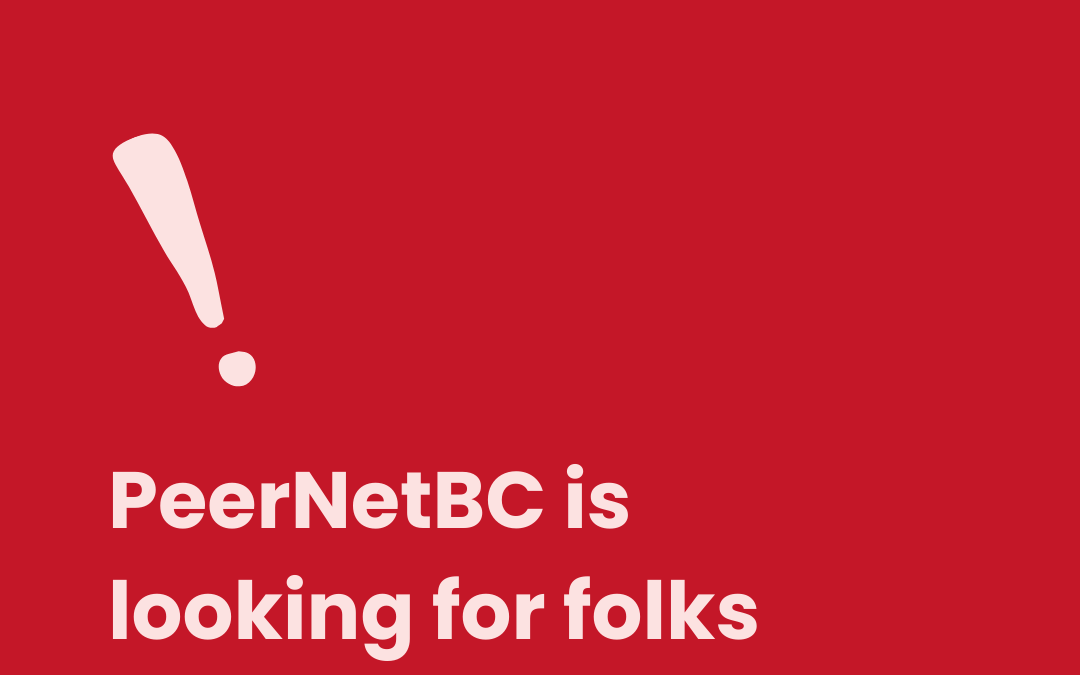 PeerNetBC is looking for more board members!